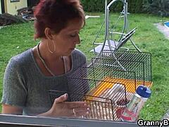 Tetangga nenek yang seksi nakal dengan ayam jantan tetangganya yang lebih muda