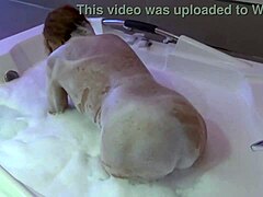 परिपक्व पत्नी को उसके पति द्वारा स्नान में उसकी चूत चाट और चोदा जाता है